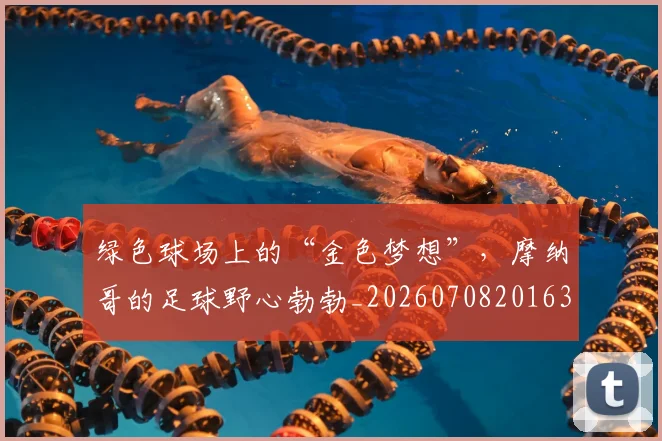 绿色球场上的“金色梦想”，摩纳哥的足球野心勃勃_20260708201639_20260803143332