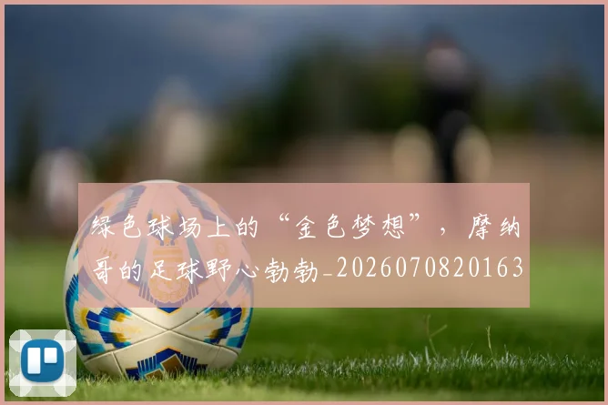 绿色球场上的“金色梦想”，摩纳哥的足球野心勃勃_20260708201639_20260803143332
